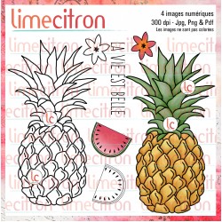 Pineapple - Digital stamp to download